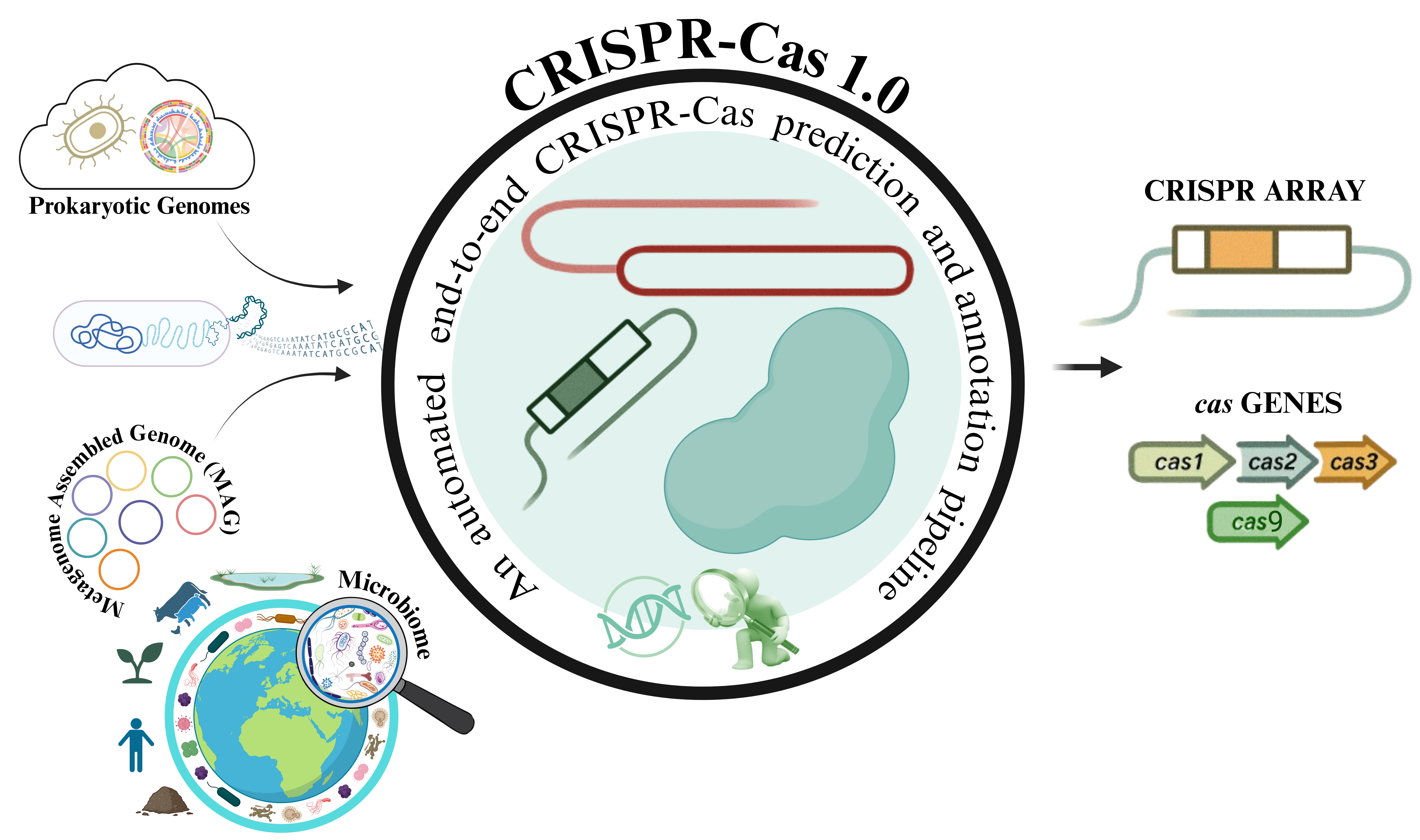 CRISPR-Cas1.0